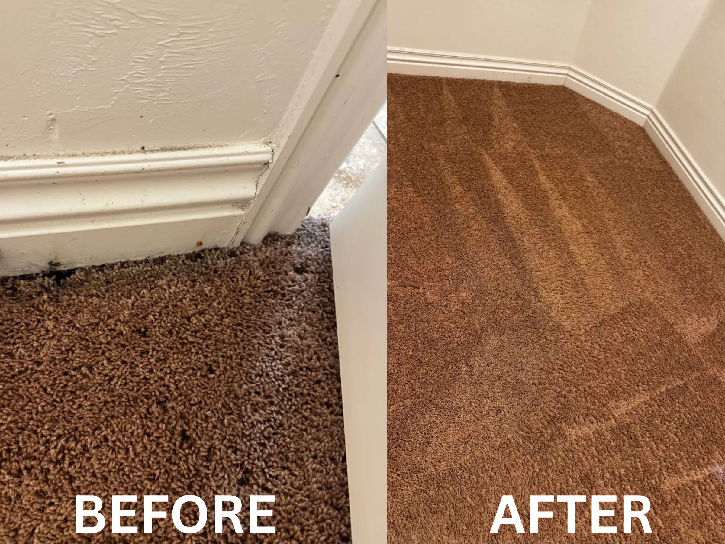 Carpet Cleaning Denver CO before-and-after carpet restoration results.