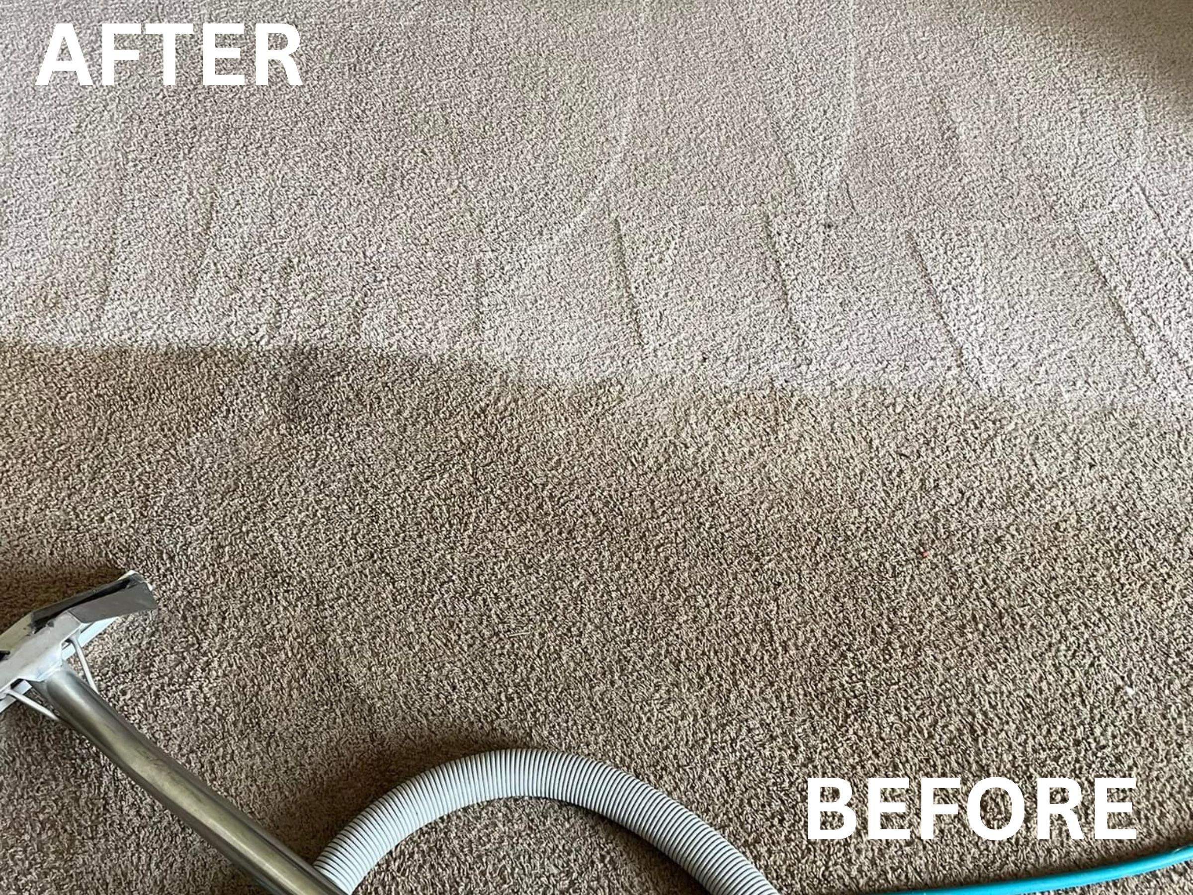 Carpet Cleaning Denver CO before-and-after professional cleaning results.