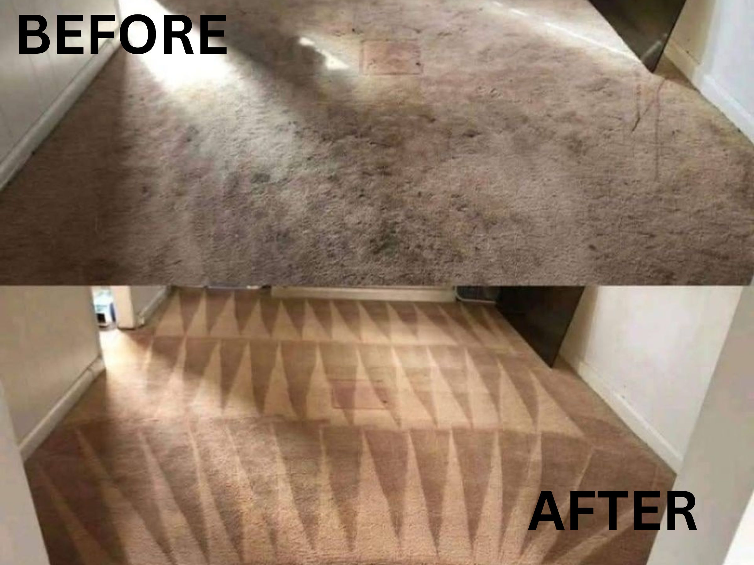 Carpet Cleaning Denver CO before-and-after deep cleaning results.