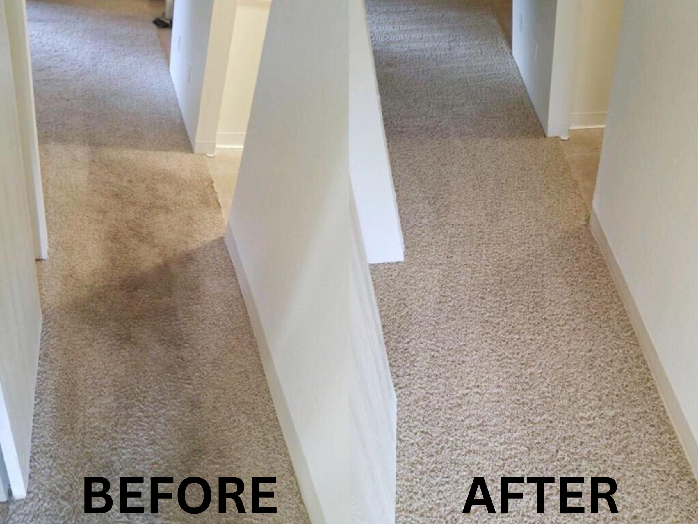 Carpet Cleaning Denver CO before-and-after carpet cleaning results.